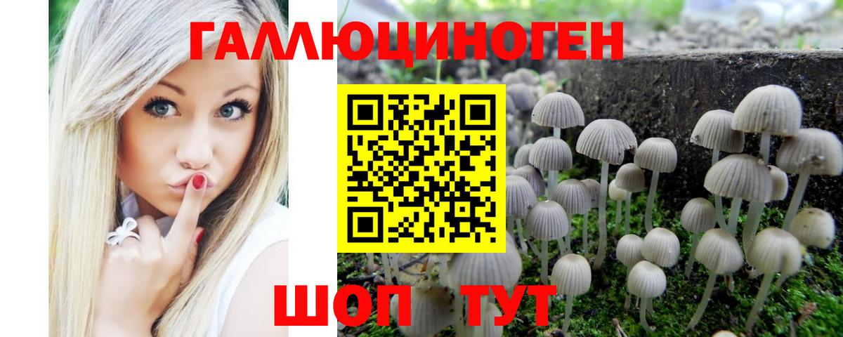 Галлюциногенные грибы прущие грибы  Вход с VPN  Галлюциногенные грибы прущие грибы  Михайловка 